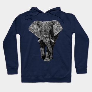 African elephant Hoodie